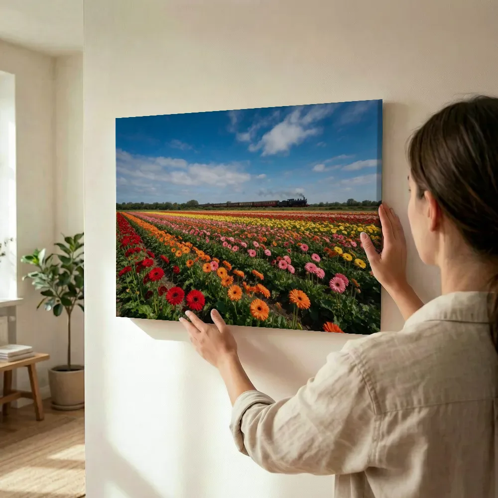 Sfeerimpressie: Gerbera bij volle zon 4 terwijl het wordt opgehangen