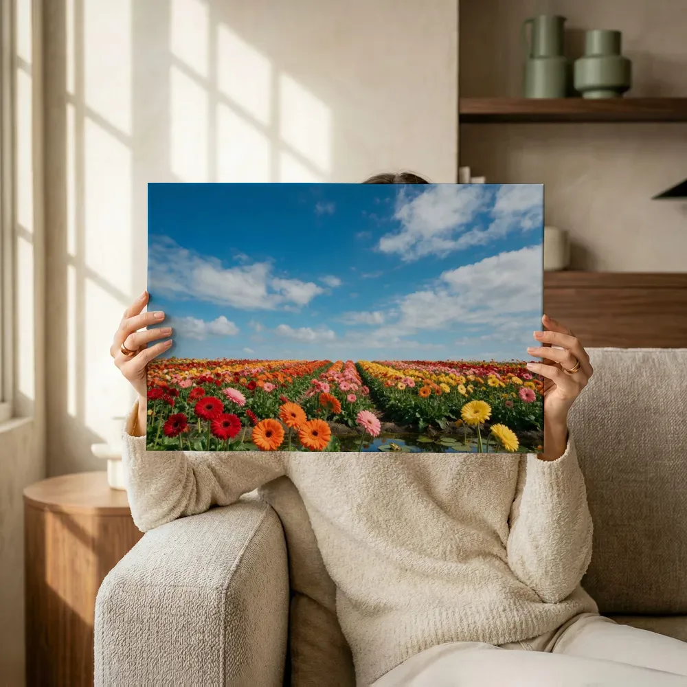 Sfeerimpressie: Gerbera bij volle zon 9 terwijl het omhoog wordt gehouden
