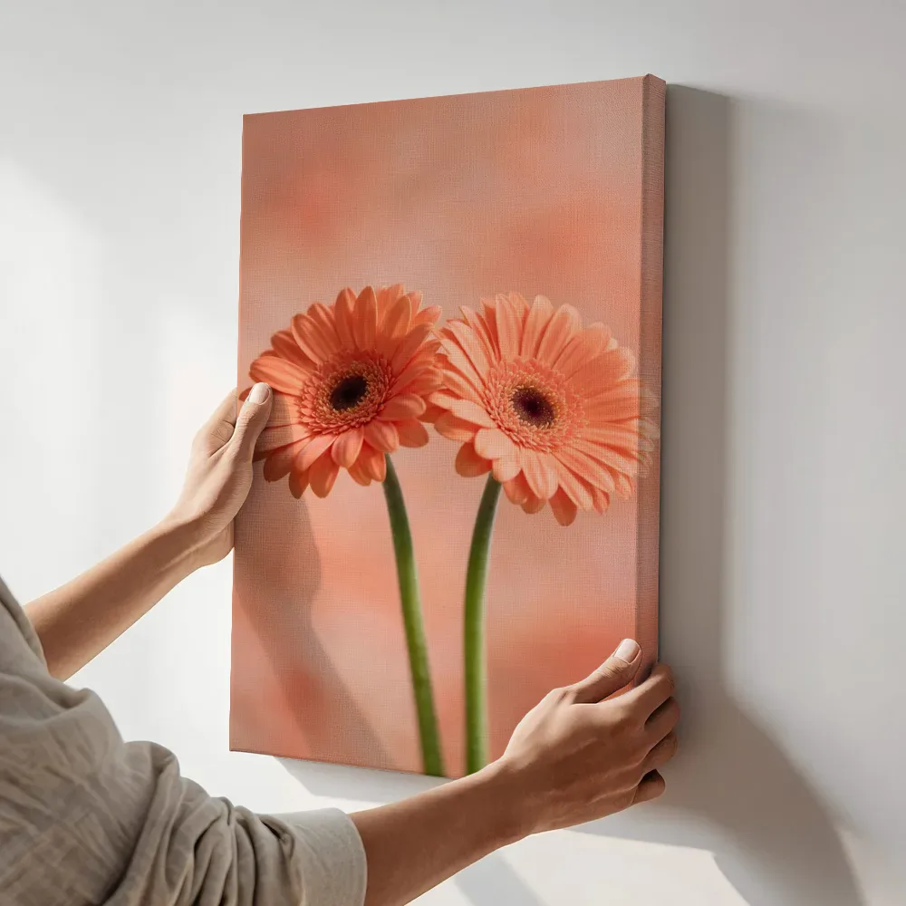 Sfeerimpressie: Gerbera in volle zon, koraaloranje 2 terwijl het aan de muur wordt gehangen