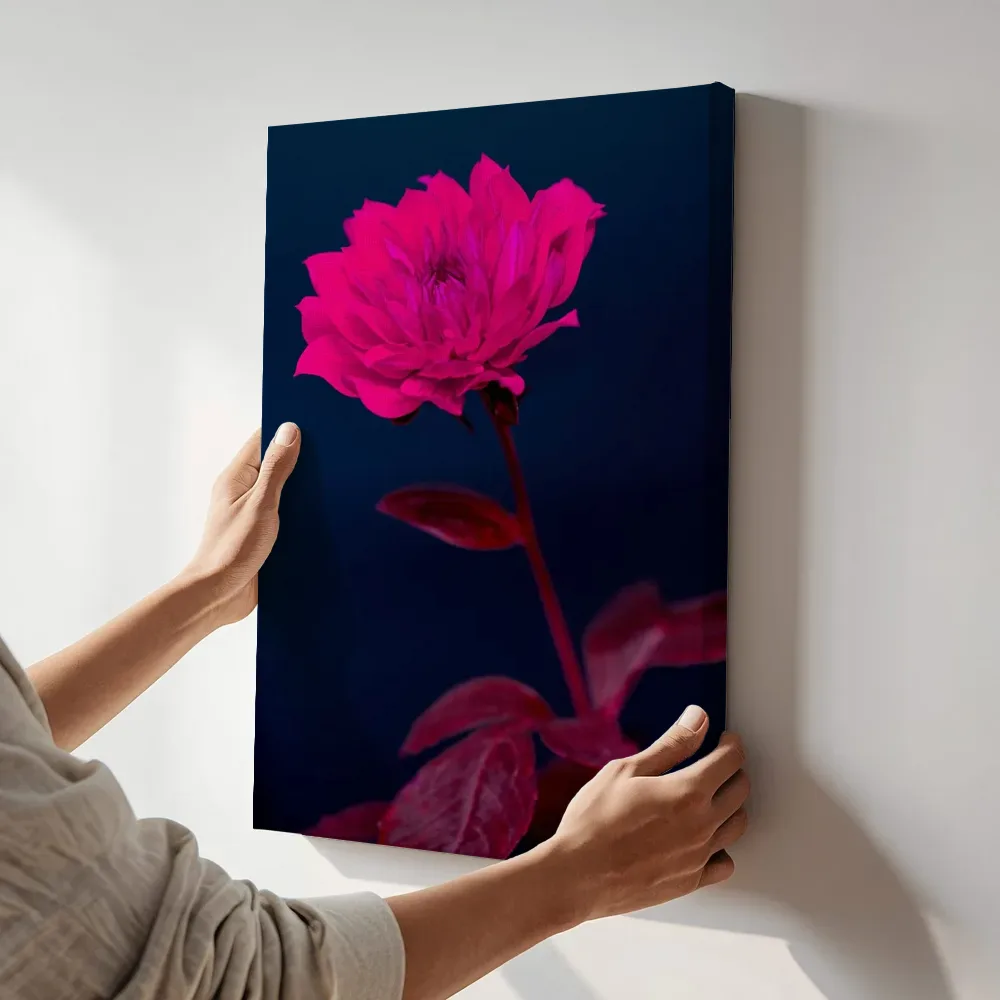 Sfeerimpressie: Gloeiende roze roos in het donker naast de kast