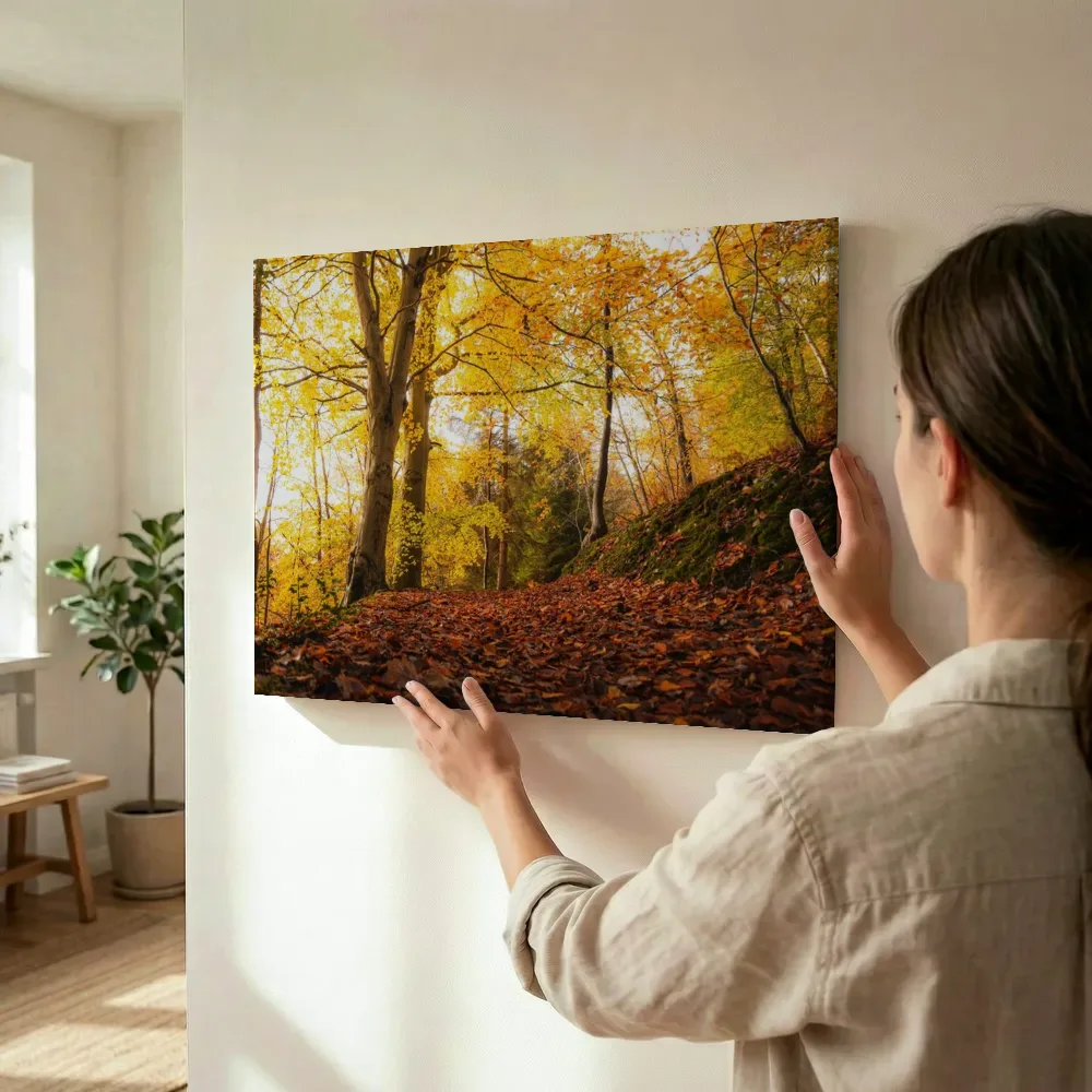 Sfeerimpressie: Gouden herfstpad in het bos terwijl het wordt opgehangen