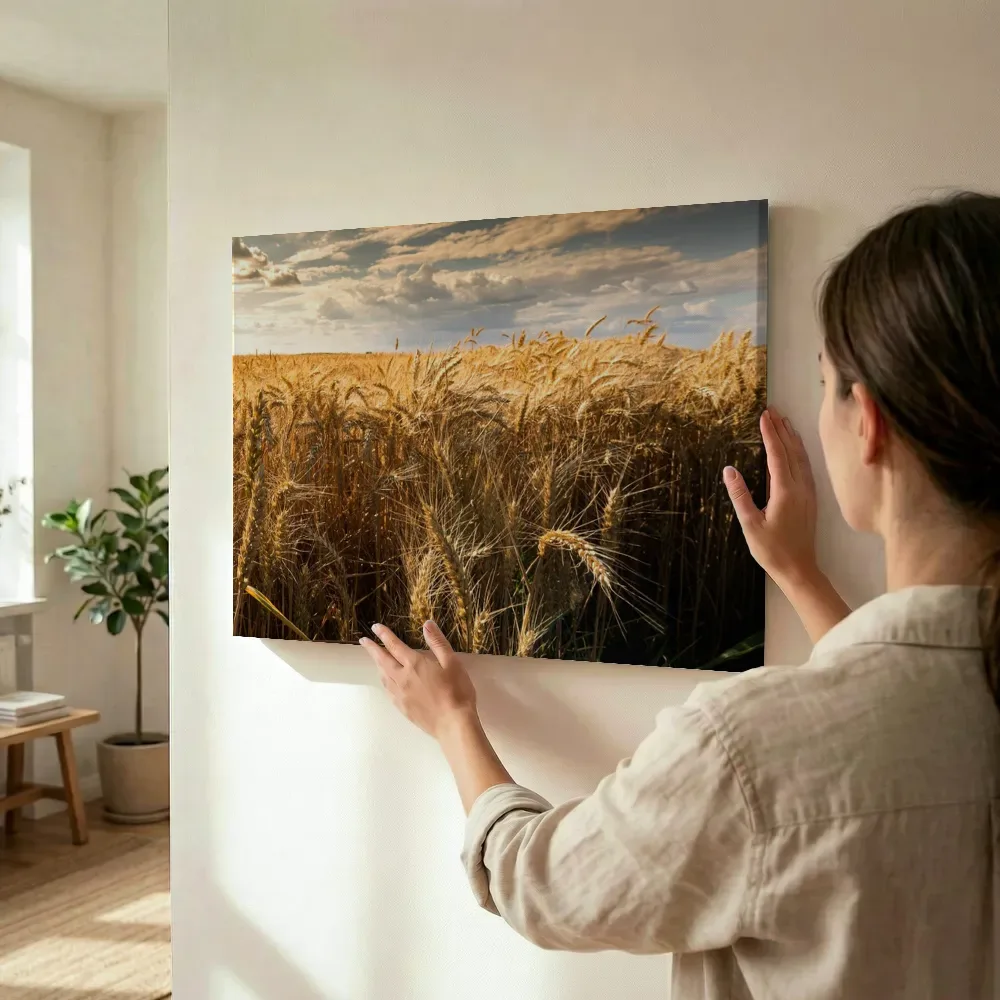 Sfeerimpressie: Gouden korenveld onder wolkenlucht terwijl het wordt opgehangen
