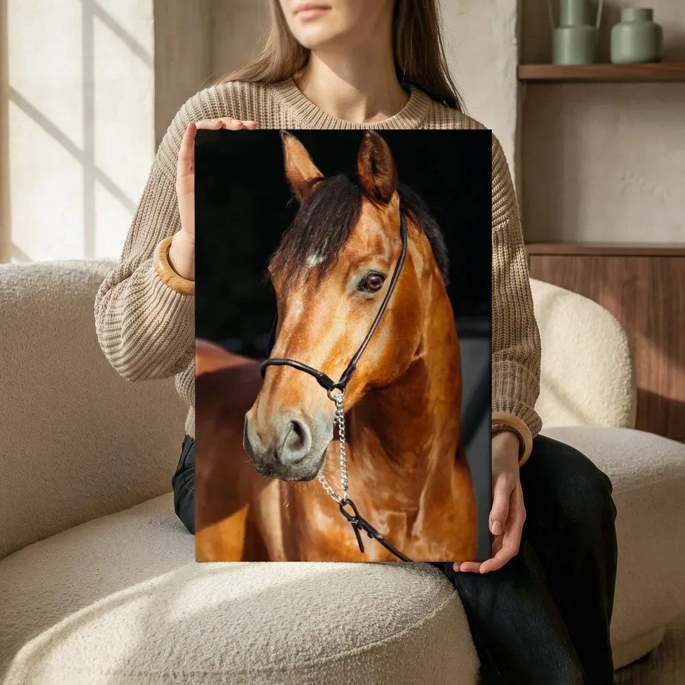 Sfeerimpressie: Gouden paard met halster terwijl het zittend wordt getoond