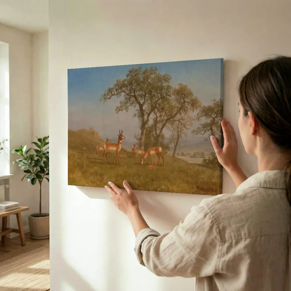 Sfeerimpressie: Grazende antilope van Albert Bierstadt terwijl het wordt opgehangen