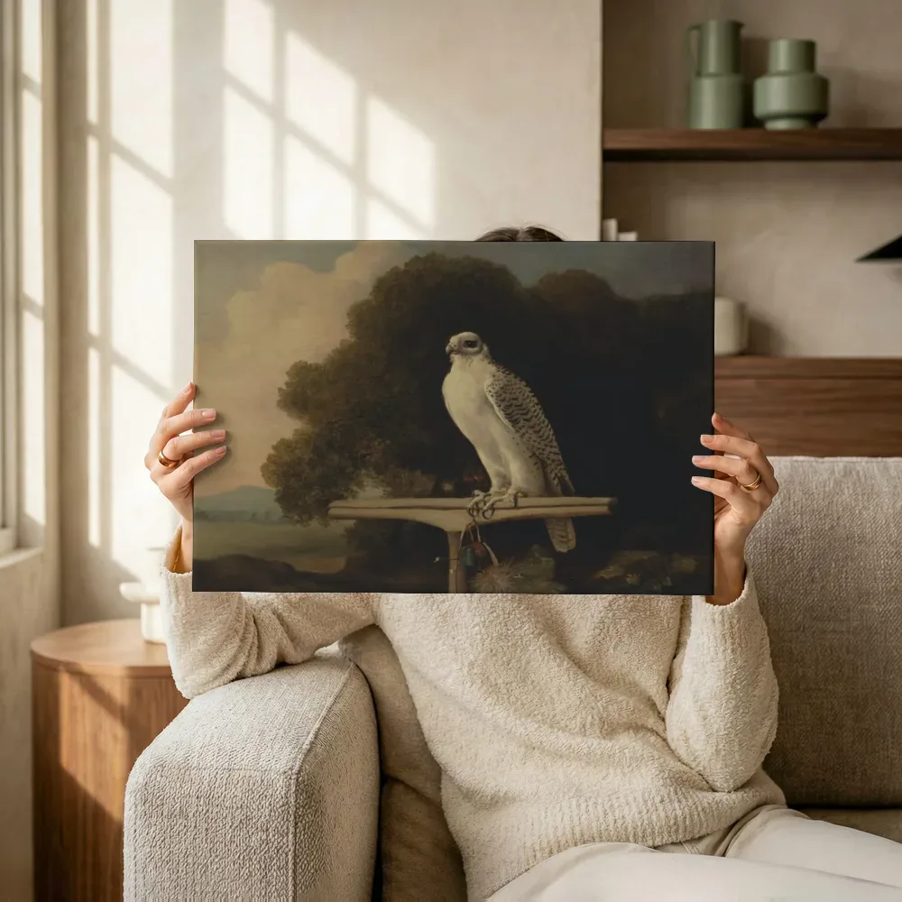 Sfeerimpressie: Greenland Falcon van George Stubbs terwijl het omhoog wordt gehouden
