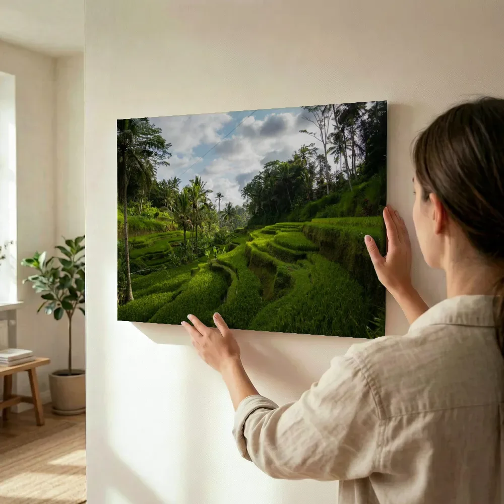 Sfeerimpressie: Groene rijstterrassen in tropisch Bali terwijl het wordt opgehangen