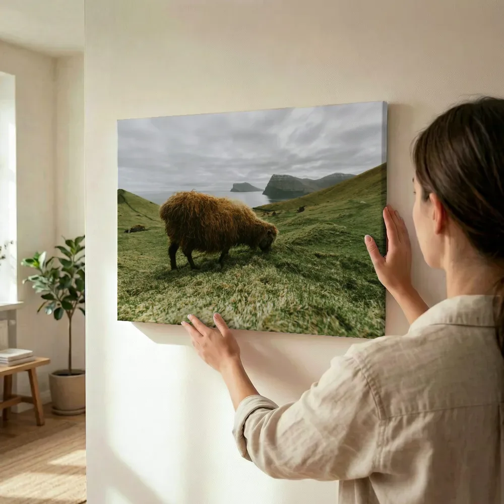 Sfeerimpressie: Harig schaap op de groene heuvel terwijl het wordt opgehangen