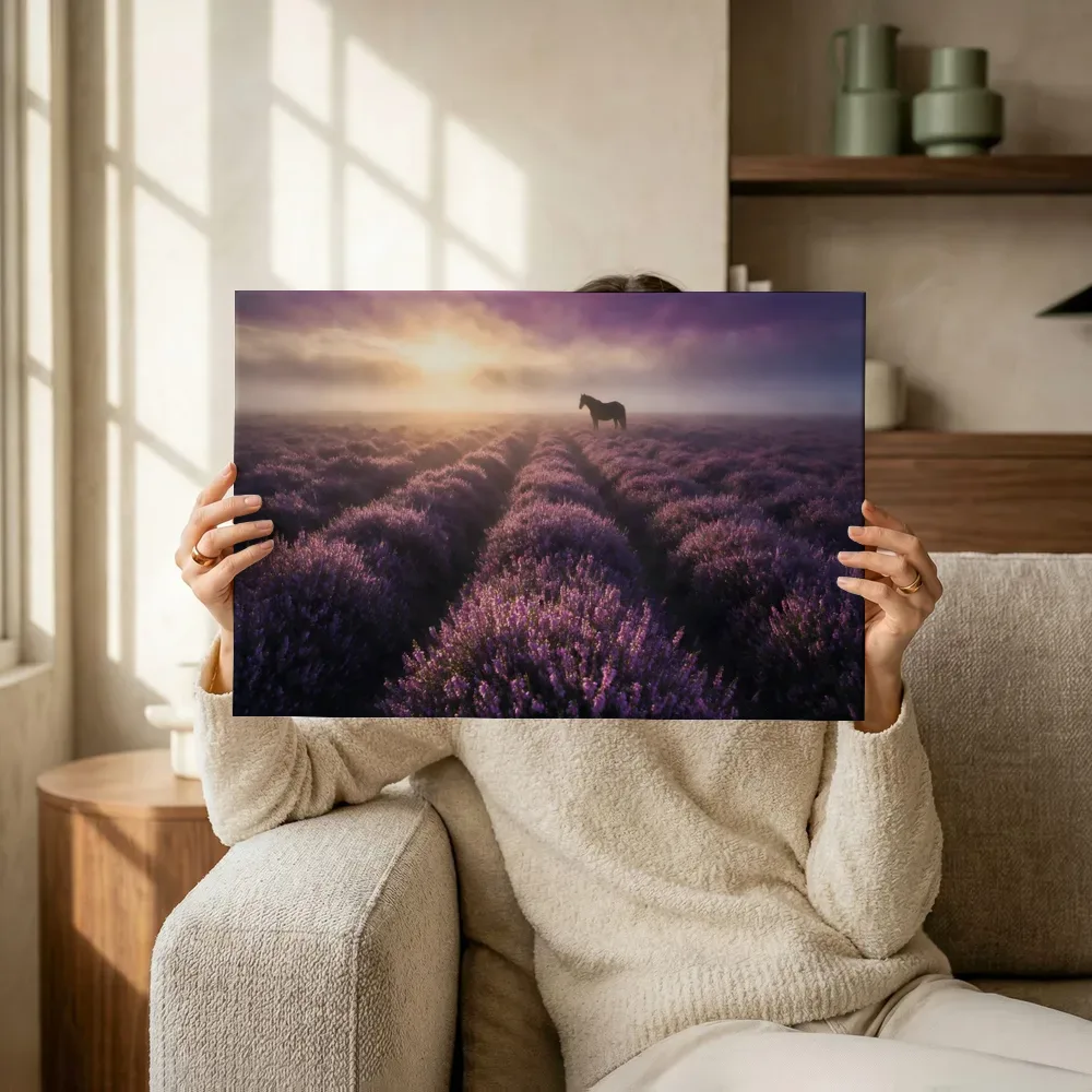 Sfeerimpressie: Heide bij de zonsopkomst 3 terwijl het omhoog wordt gehouden