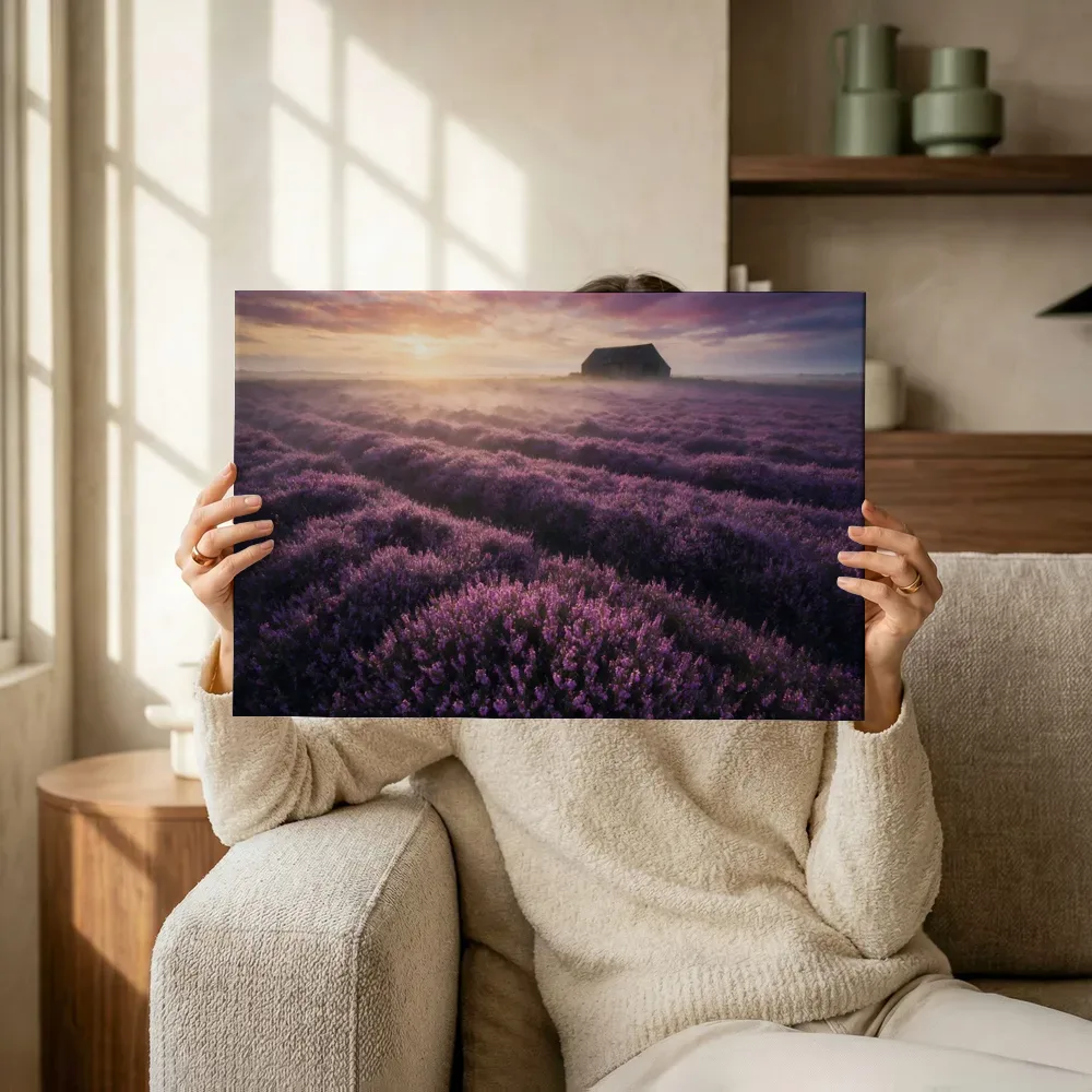 Sfeerimpressie: Heide bij de zonsopkomst 7 terwijl het omhoog wordt gehouden