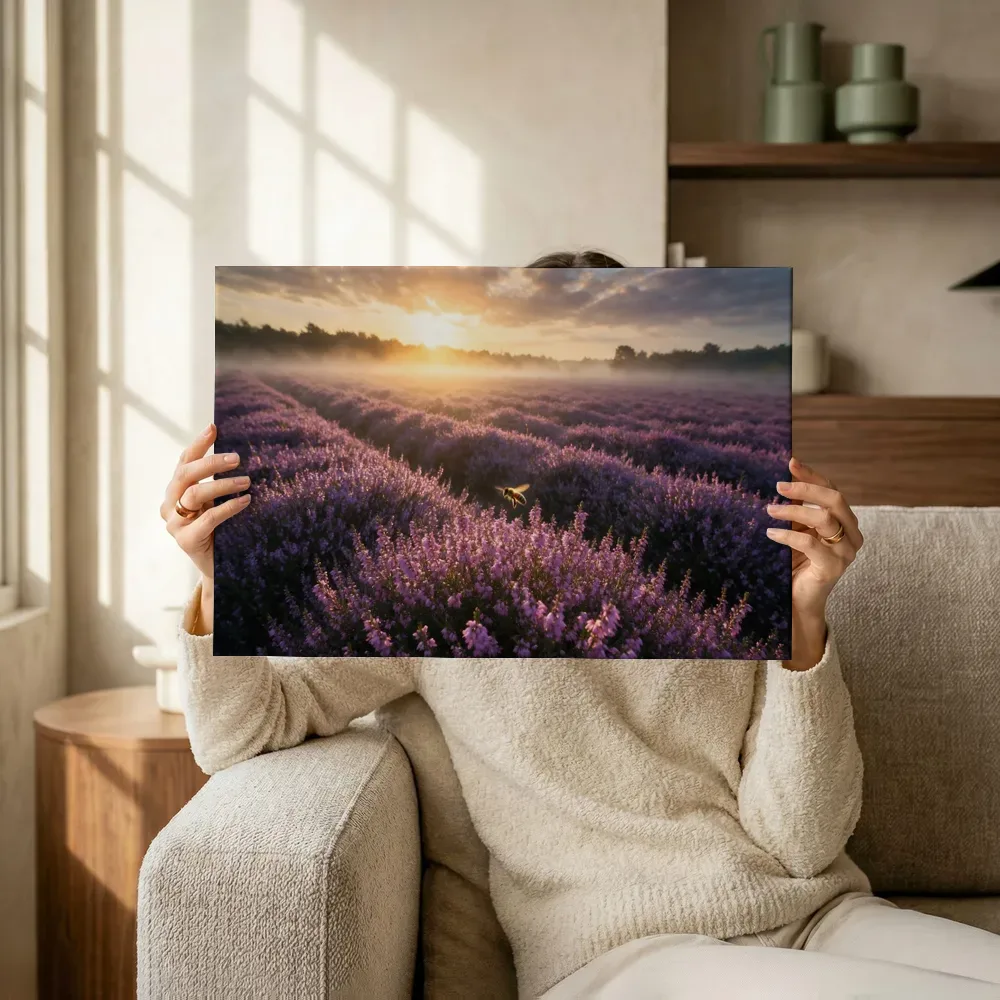 Sfeerimpressie: Heide bij de zonsopkomst 9 terwijl het omhoog wordt gehouden