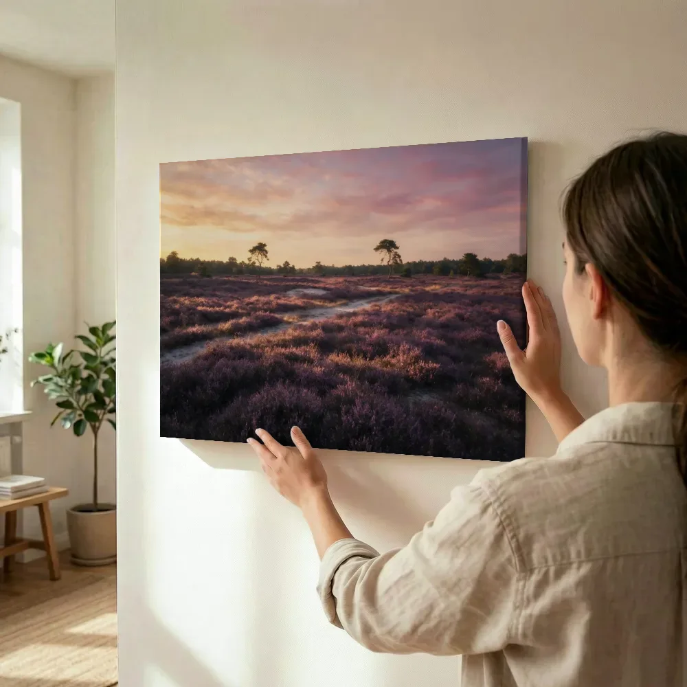 Sfeerimpressie: Heide in paars en goud terwijl het wordt opgehangen
