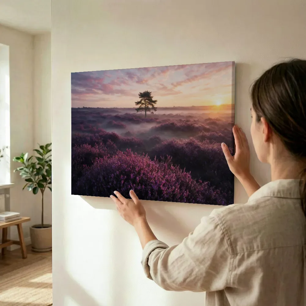 Sfeerimpressie: Heide zonsopkomst in paars en goud terwijl het wordt opgehangen