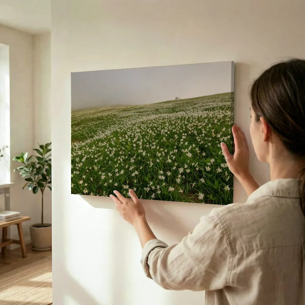 Sfeerimpressie: Mistig veld vol witte narcissen terwijl het wordt opgehangen