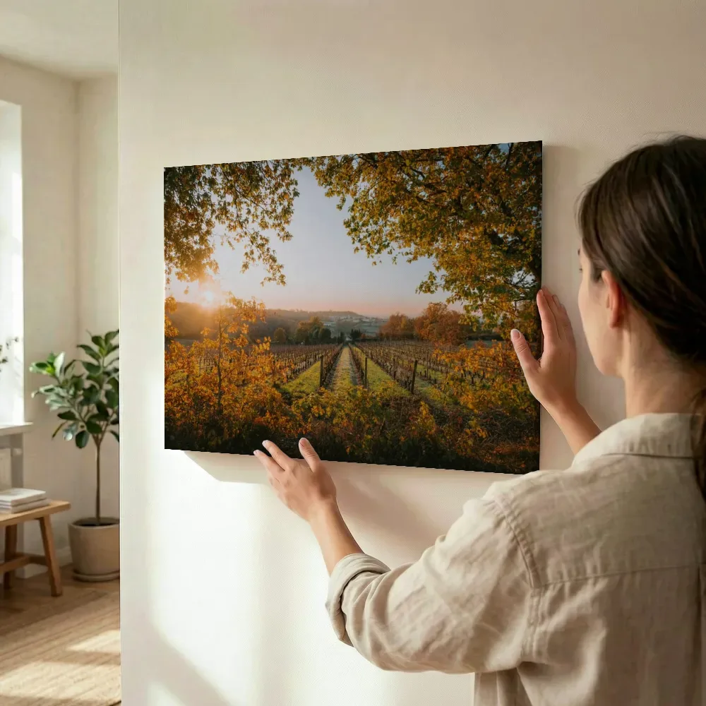 Sfeerimpressie: Herfstzon over de wijngaard terwijl het wordt opgehangen