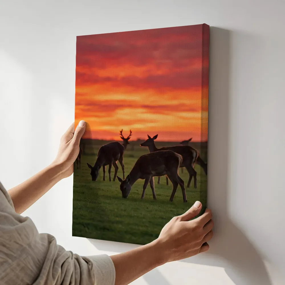 Sfeerimpressie: Hert in het veld, een silhouet tegen een vurige zonsondergang terwijl het aan de muur wordt gehangen