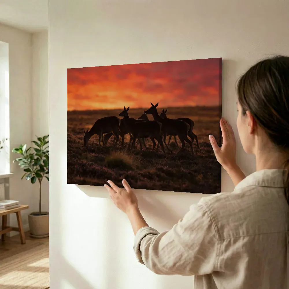 Sfeerimpressie: Hert in kudde, een silhouet tegen een vurige zonsondergang terwijl het wordt opgehangen