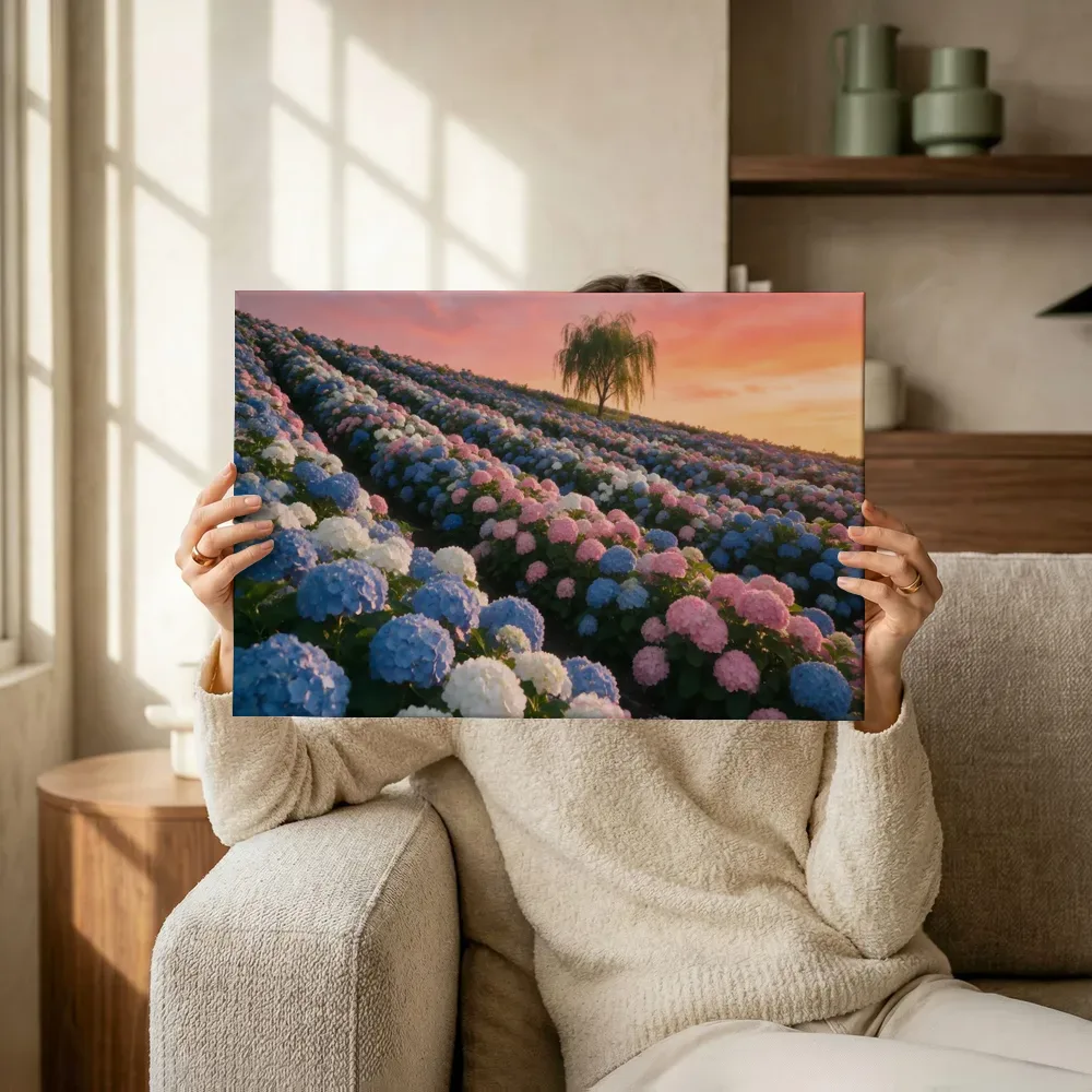 Sfeerimpressie: Hortensia bij de zonsondergang 5 terwijl het omhoog wordt gehouden