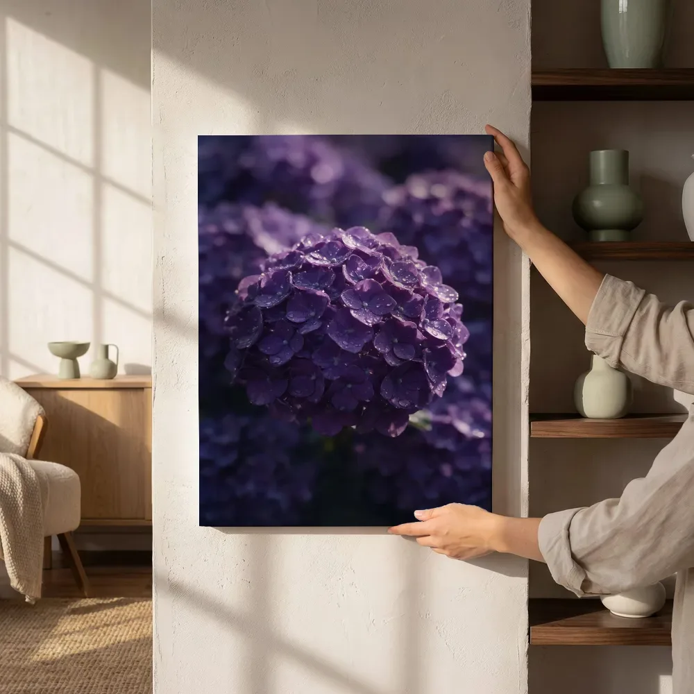 Sfeerimpressie: Hortensia in dauw, glinsterlicht, dieppaars naast de kast