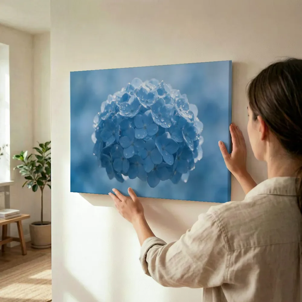 Sfeerimpressie: Hortensia in dauw, glinsterlicht, hemelsblauw terwijl het wordt opgehangen