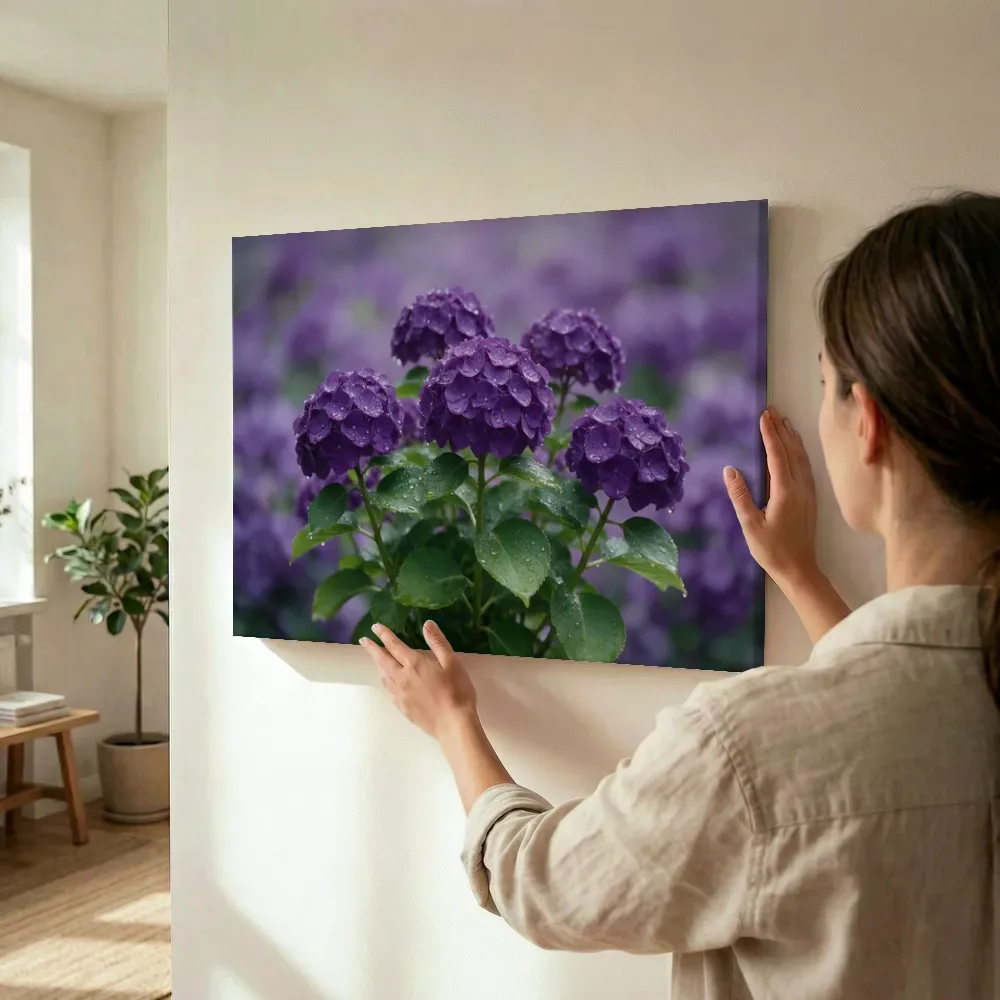 Sfeerimpressie: Hortensia in na de regen, dieppaars 2 terwijl het wordt opgehangen