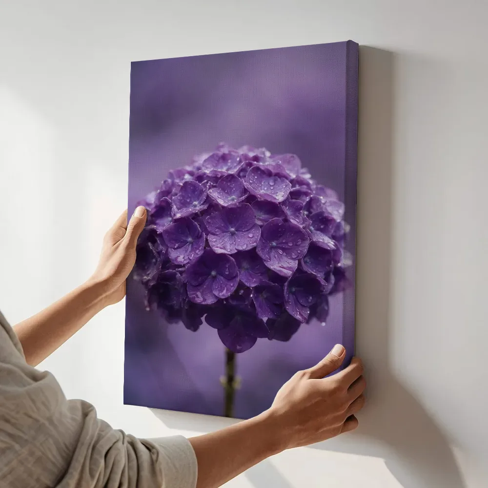 Sfeerimpressie: Hortensia in na de regen, dieppaars terwijl het aan de muur wordt gehangen