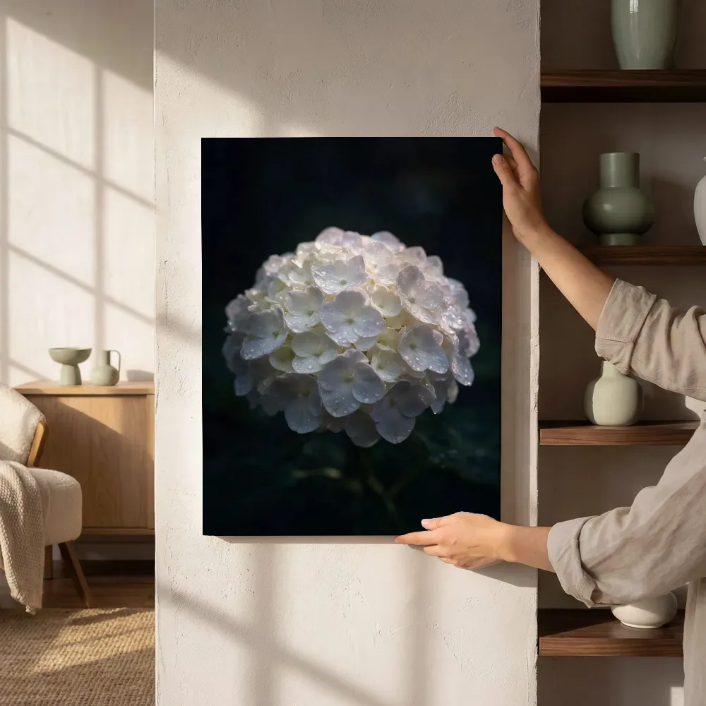 Sfeerimpressie: Hortensia in na de regen naast de kast