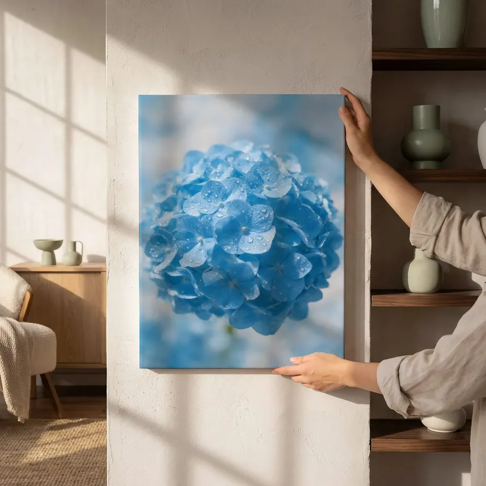 Sfeerimpressie: Hortensia in na de regen, hemelsblauw 2 naast de kast
