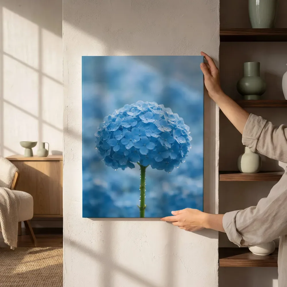 Sfeerimpressie: Hortensia in na de regen, hemelsblauw 5 naast de kast