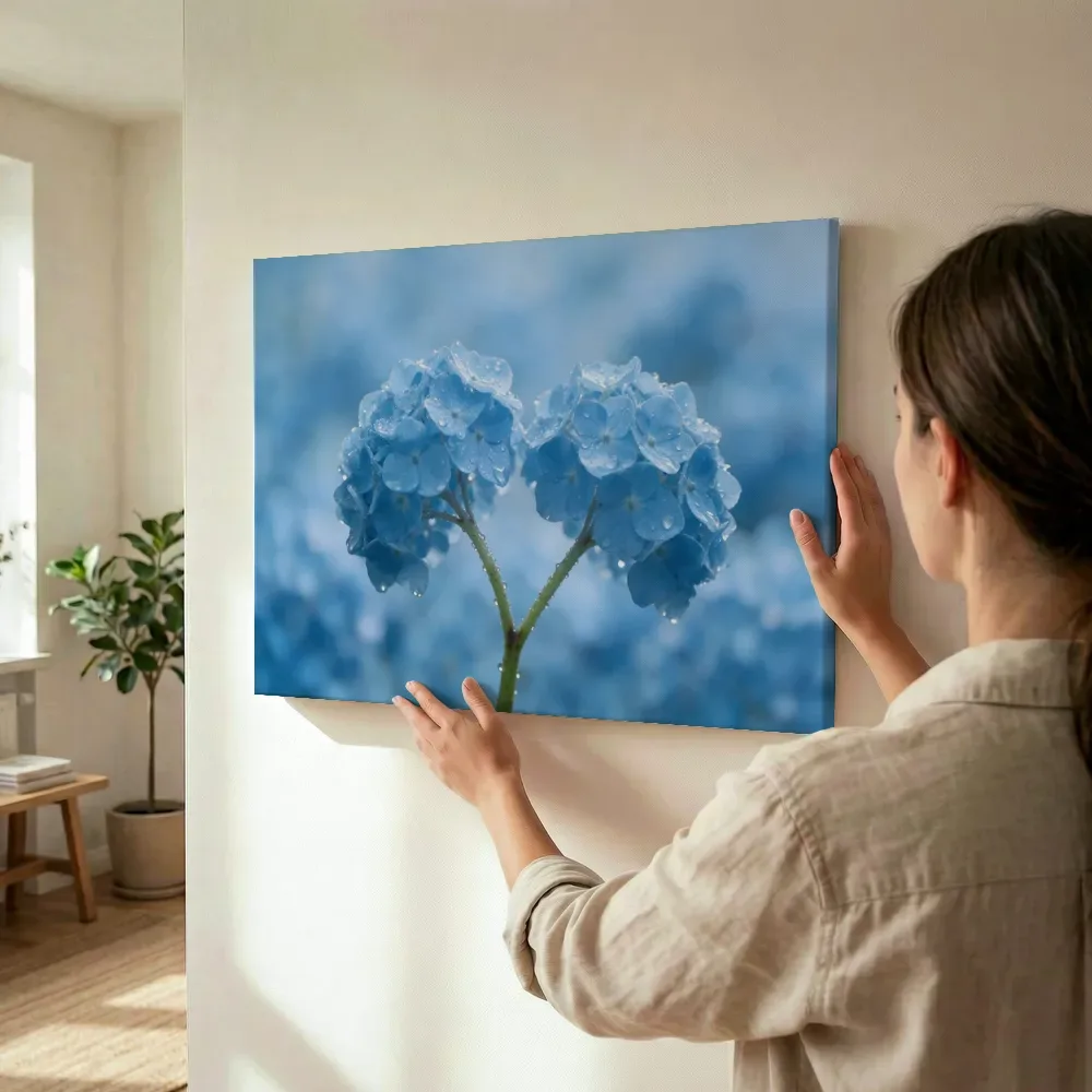 Sfeerimpressie: Hortensia in na de regen, hemelsblauw 6 terwijl het wordt opgehangen