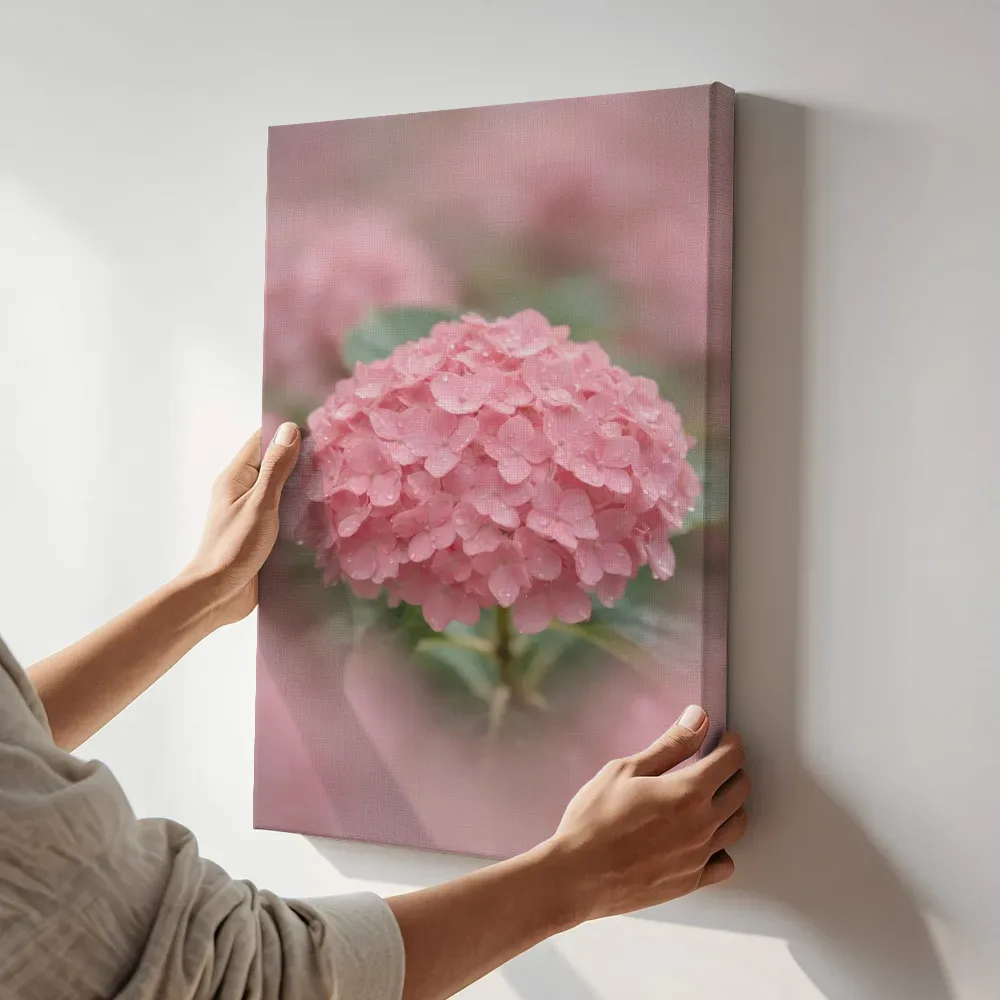 Sfeerimpressie: Hortensia in na de regen, zachtroze 3 terwijl het aan de muur wordt gehangen