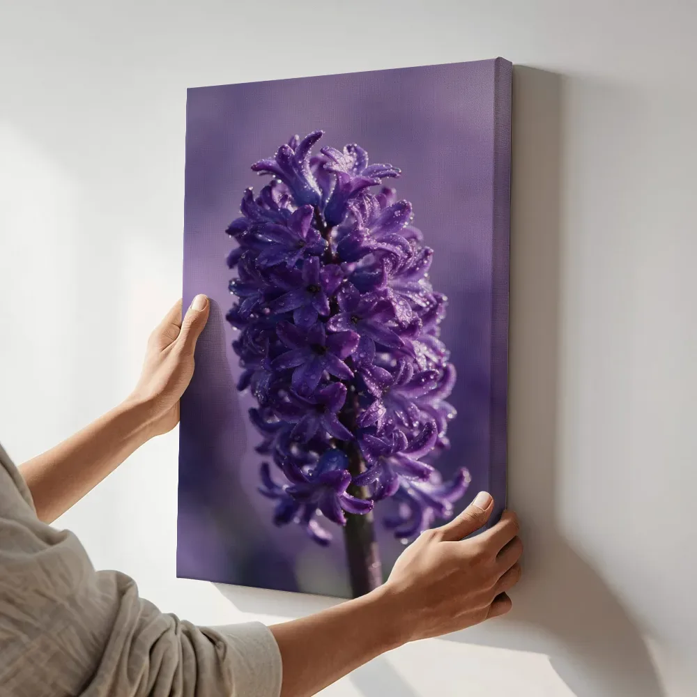 Sfeerimpressie: Hyacint in de dauw, dieppaars terwijl het aan de muur wordt gehangen