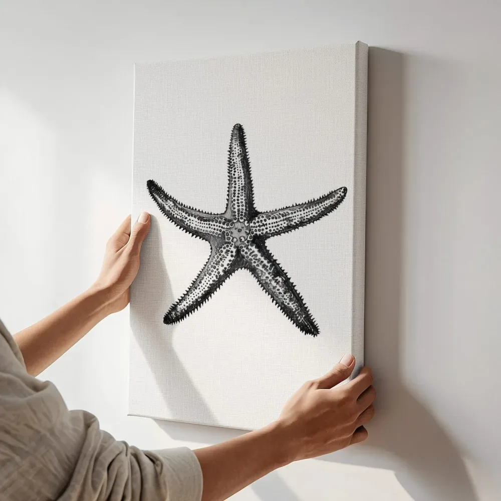 Sfeerimpressie: Zeester in zwart-wit terwijl het aan de muur wordt gehangen