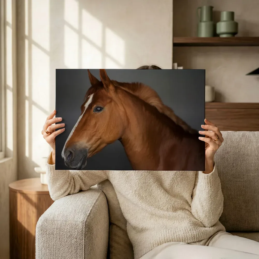 Sfeerimpressie: Kastanjebruin paard op grijze achtergrond terwijl het omhoog wordt gehouden