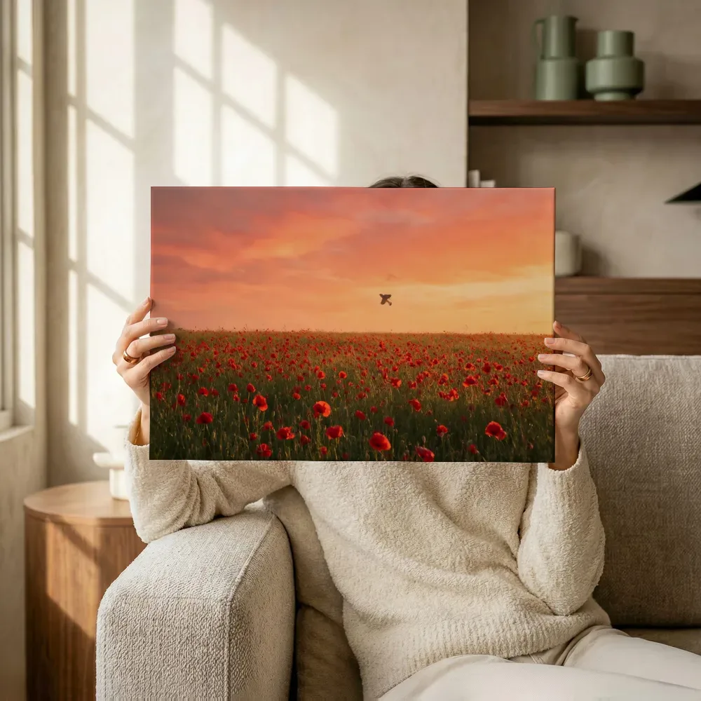 Sfeerimpressie: Klaprozen bij de zonsondergang 11 terwijl het omhoog wordt gehouden