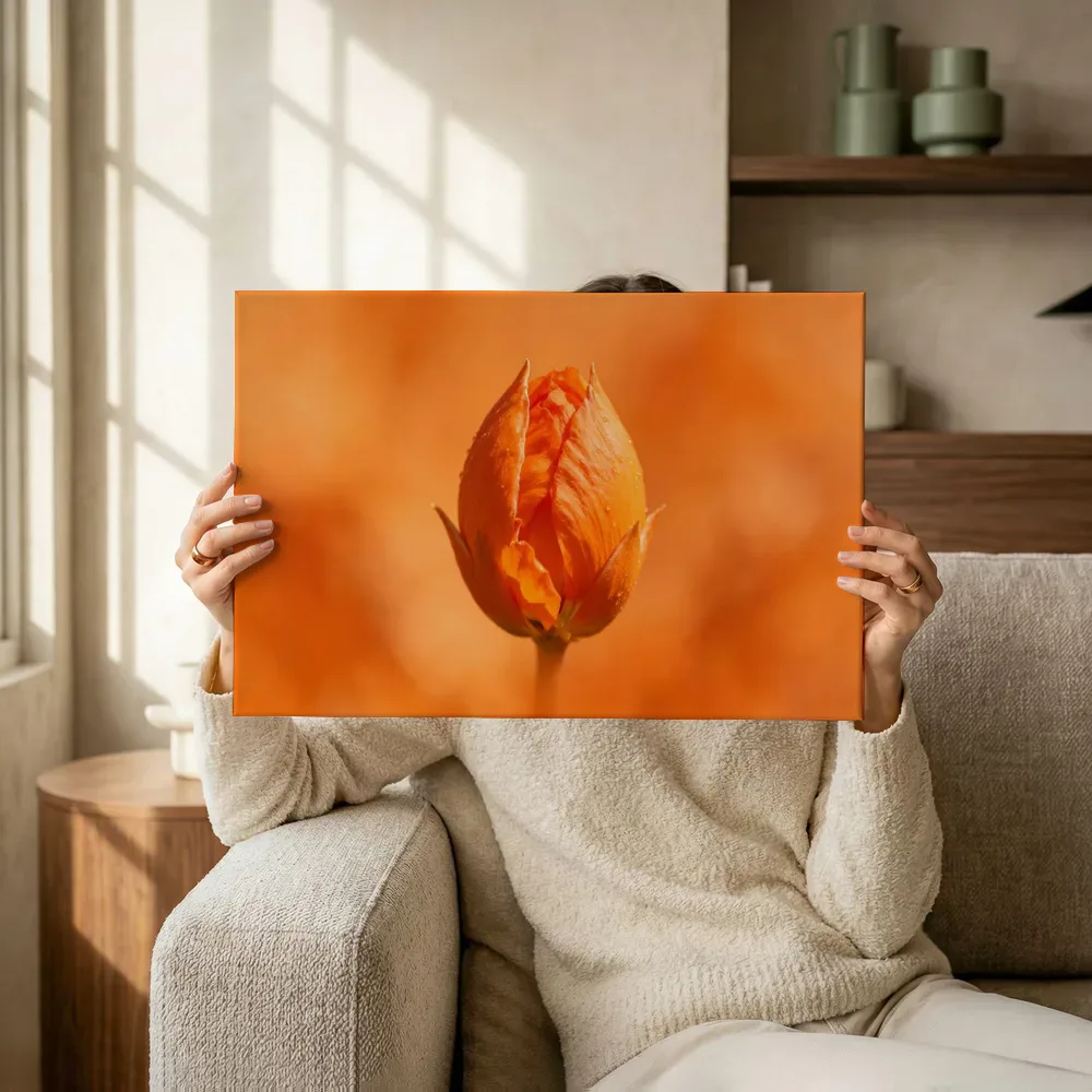 Sfeerimpressie: Klaprozen in volle zon, oranje 3 terwijl het omhoog wordt gehouden