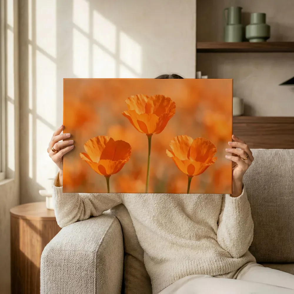 Sfeerimpressie: Klaprozen in volle zon, oranje 5 terwijl het omhoog wordt gehouden