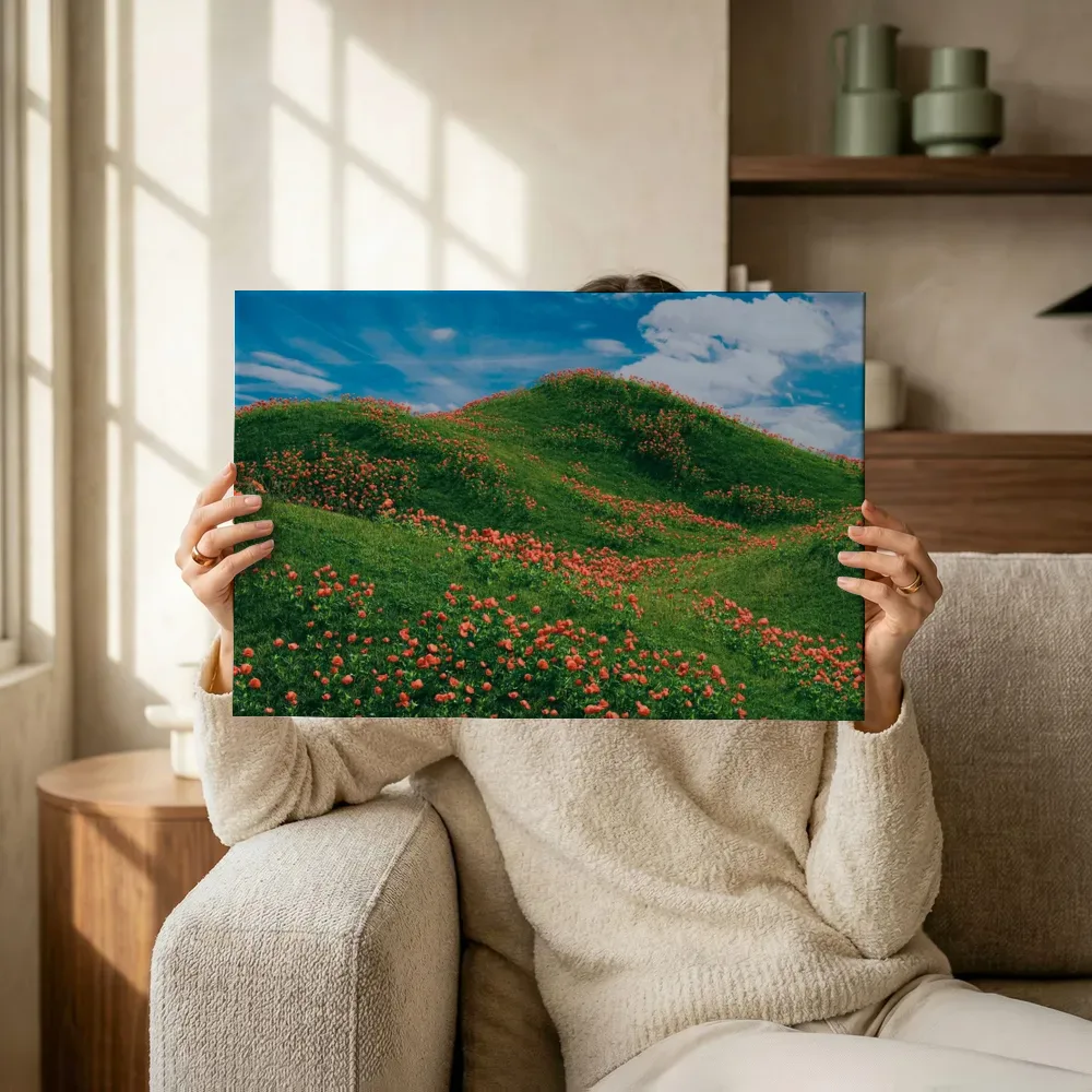 Sfeerimpressie: Klaprozenheuvels onder wolkenlucht terwijl het omhoog wordt gehouden