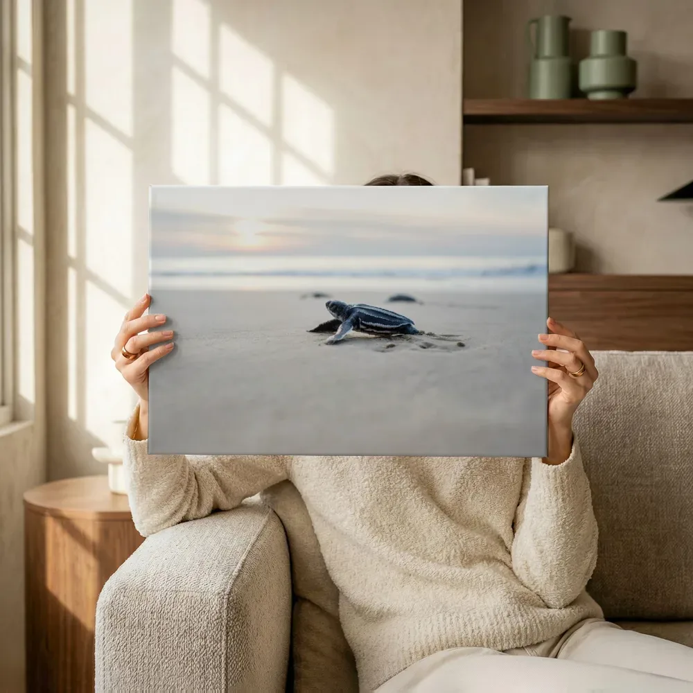 Sfeerimpressie: Kleine zeeschildpad op het strand terwijl het omhoog wordt gehouden