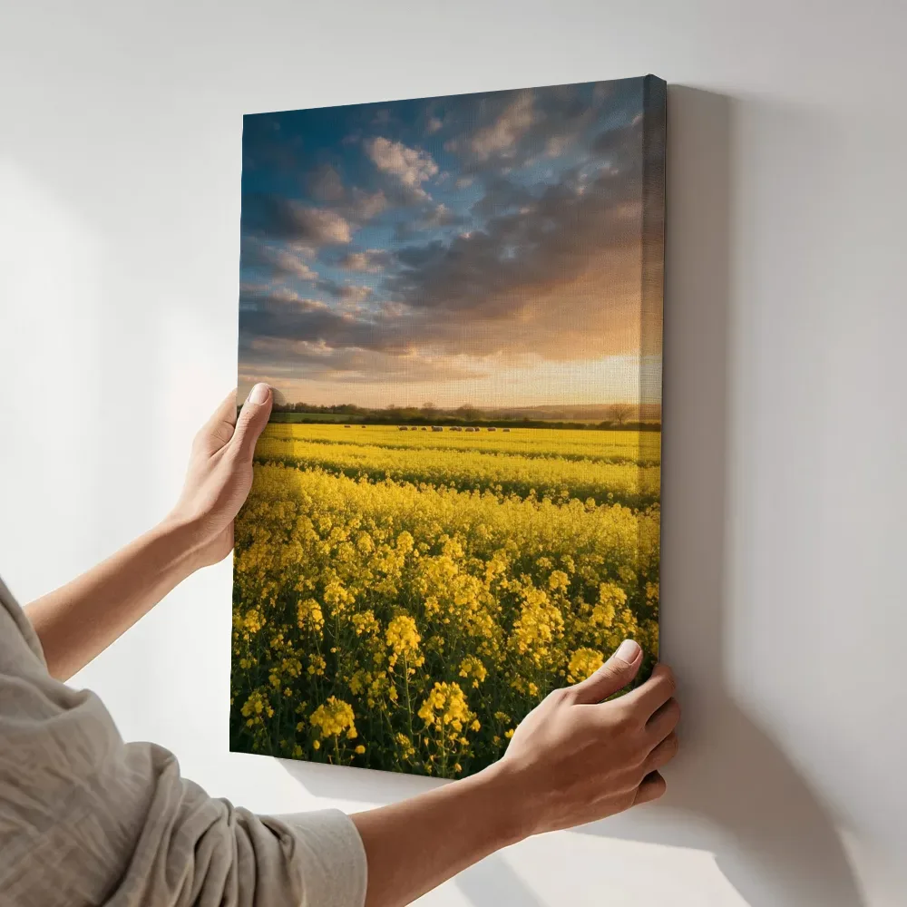 Sfeerimpressie: Koolzaad bij het gouden uur terwijl het aan de muur wordt gehangen