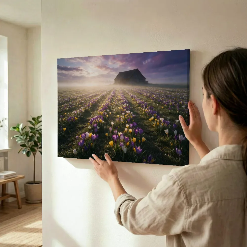 Sfeerimpressie: Krokus bij de ochtendmist 5 terwijl het wordt opgehangen