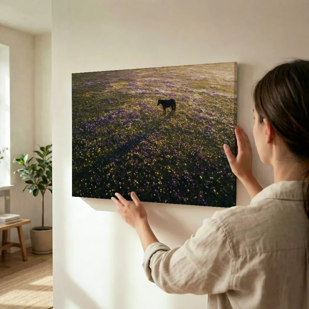 Sfeerimpressie: Krokus bij het gouden uur 4 terwijl het wordt opgehangen