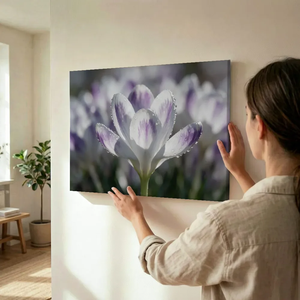 Sfeerimpressie: Krokus in dauw, glinsterlicht, wit met paarse veren terwijl het wordt opgehangen