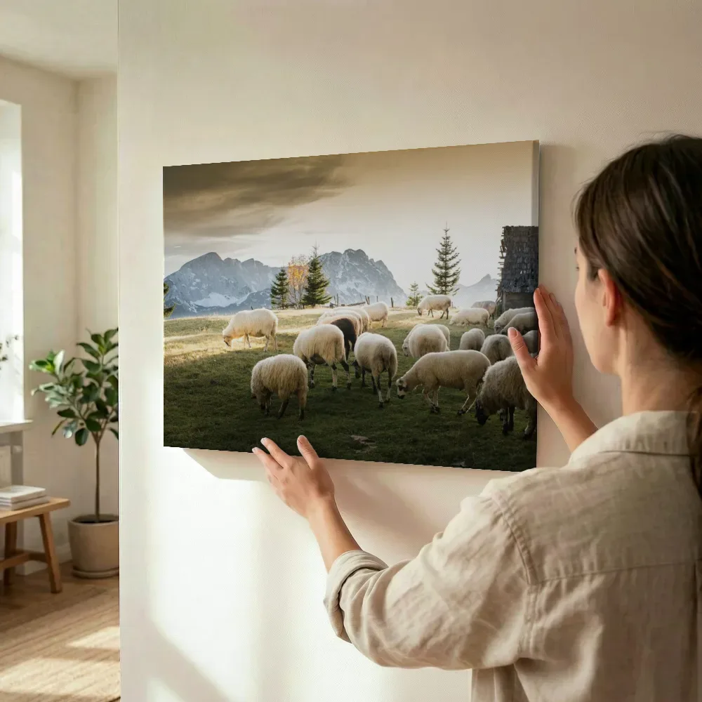 Sfeerimpressie: Kudde schapen in berglandschap bij zonsondergang terwijl het wordt opgehangen