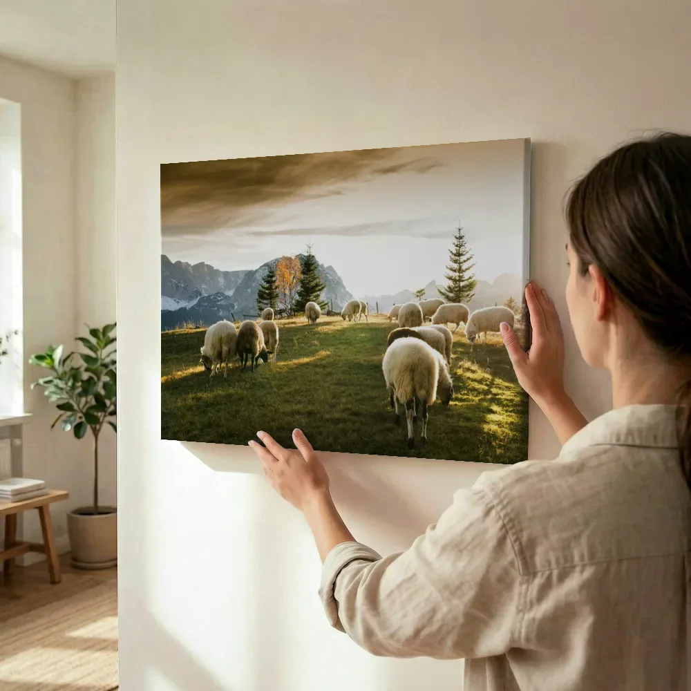 Sfeerimpressie: Kudde schapen in de bergweide terwijl het wordt opgehangen