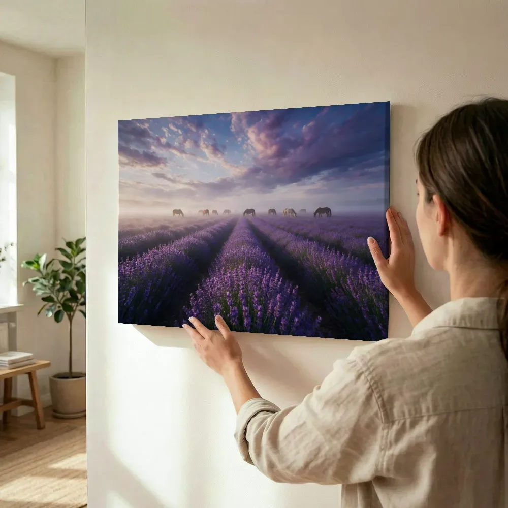 Sfeerimpressie: Lavendel bij de ochtendmist 7 terwijl het wordt opgehangen