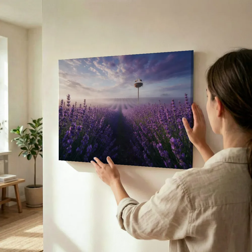 Sfeerimpressie: Lavendel bij de ochtendmist 9 terwijl het wordt opgehangen