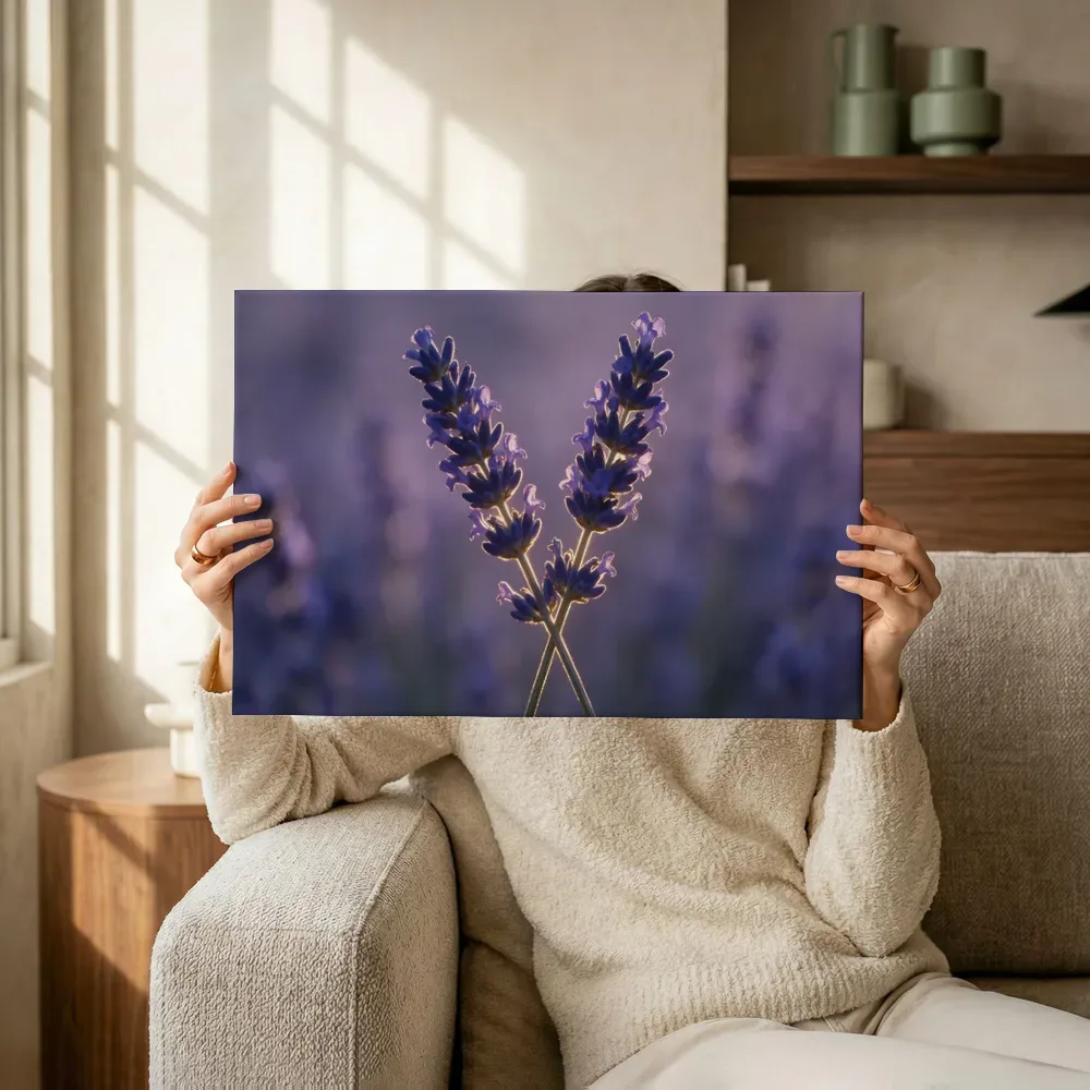 Sfeerimpressie: Lavendel in het gouden uur, diep paarsblauw 5 terwijl het omhoog wordt gehouden