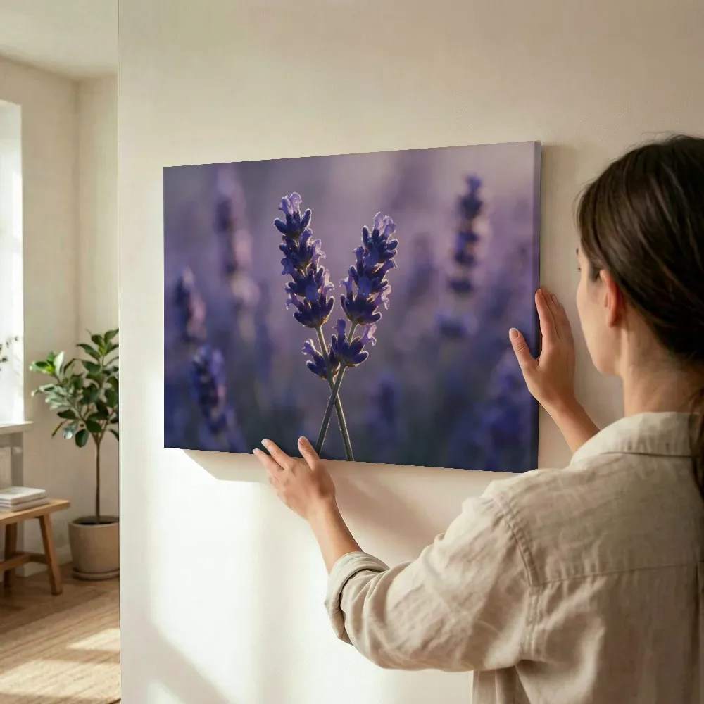 Sfeerimpressie: Lavendel in het gouden uur, diep paarsblauw 8 terwijl het wordt opgehangen
