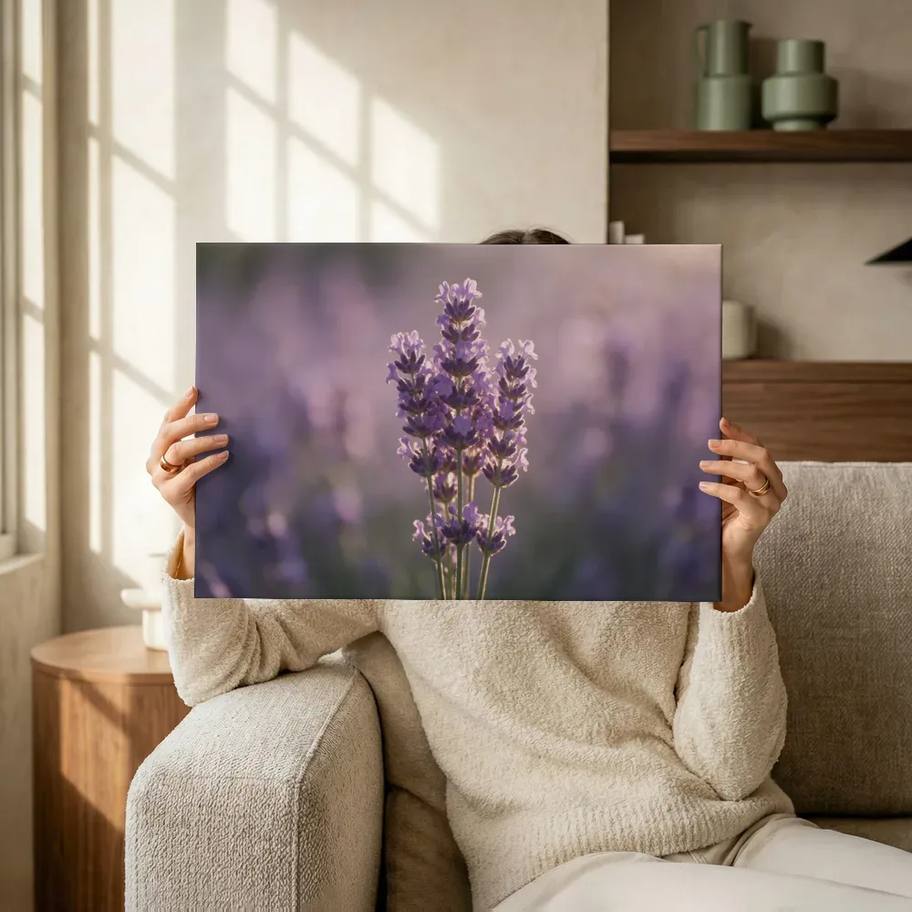 Sfeerimpressie: Lavendel in het gouden uur, zacht violetpaars 10 terwijl het omhoog wordt gehouden