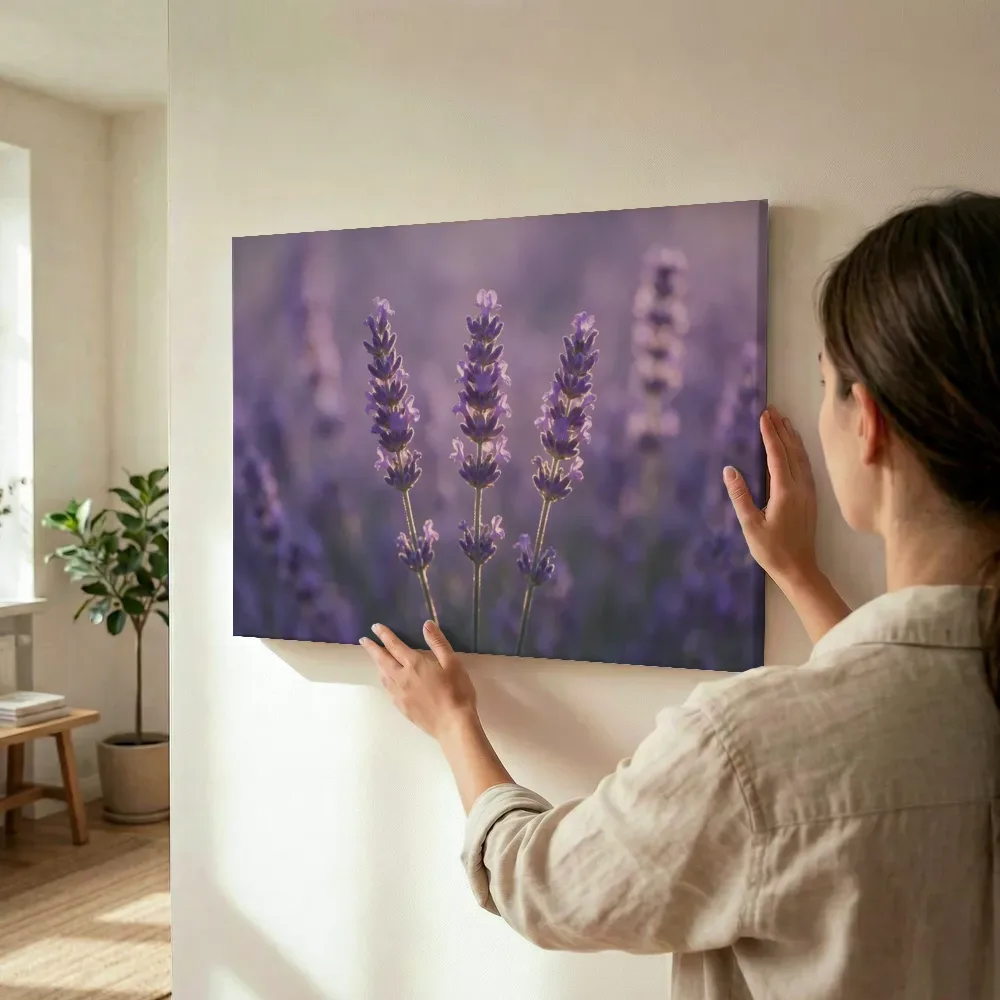 Sfeerimpressie: Lavendel in het gouden uur, zacht violetpaars 6 terwijl het wordt opgehangen